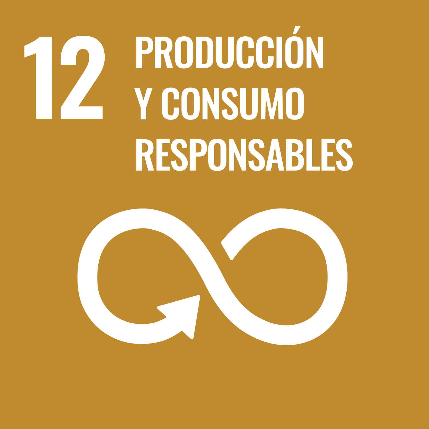 SDG 12: Responsible consumption and production